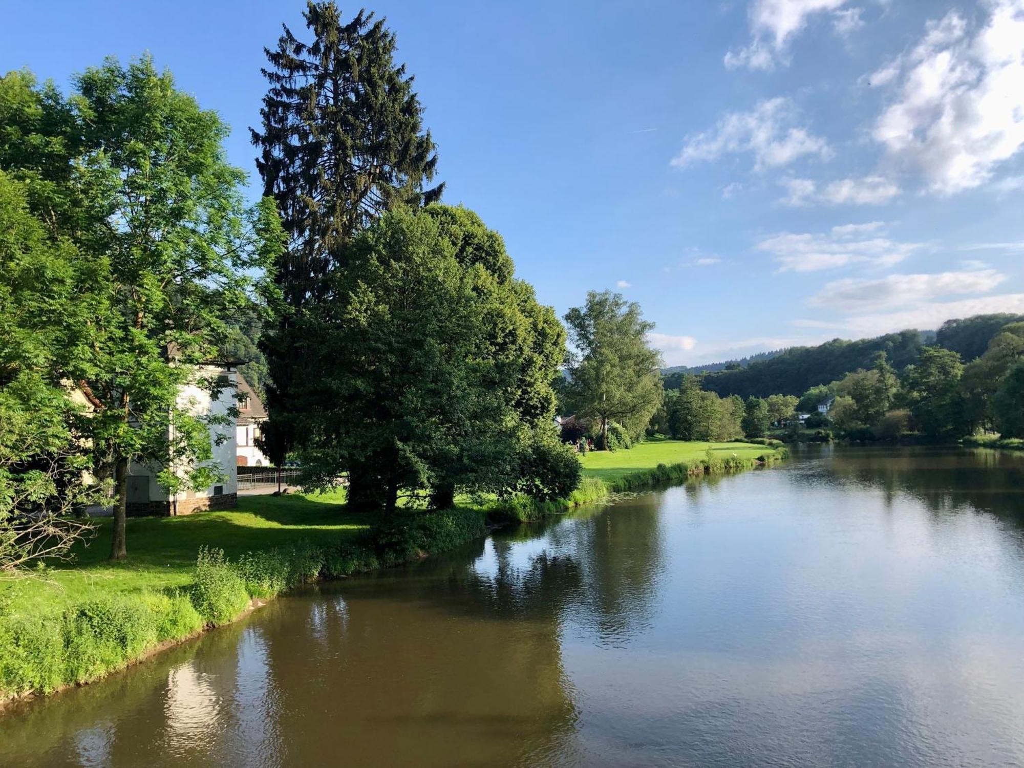 Ferienwohnung "Gaston" Mitten In Waldbreitbach エクステリア 写真